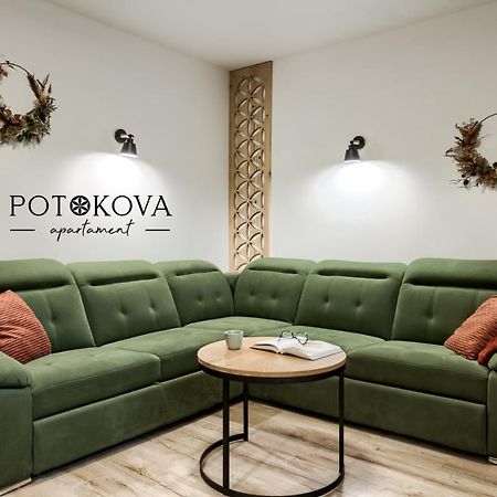 Potokova Apartament Centrum Закопане Екстериор снимка