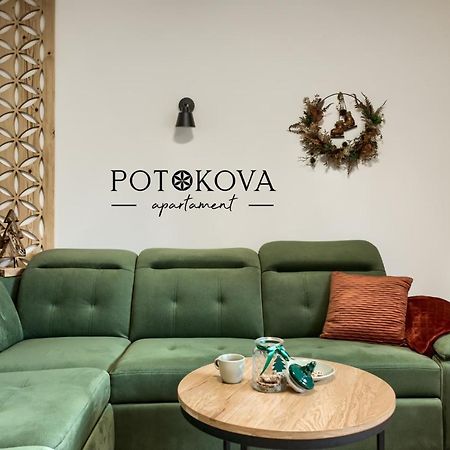 Potokova Apartament Centrum Закопане Екстериор снимка