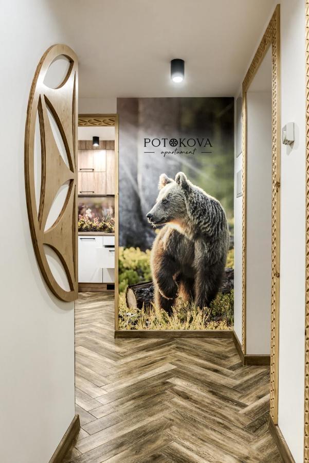Potokova Apartament Centrum Закопане Екстериор снимка