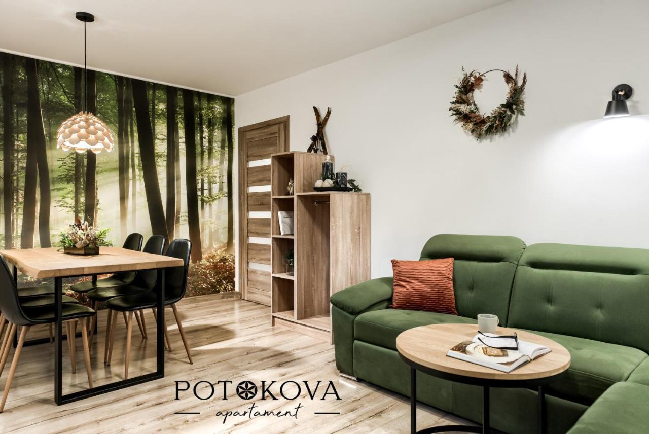 Potokova Apartament Centrum Закопане Екстериор снимка