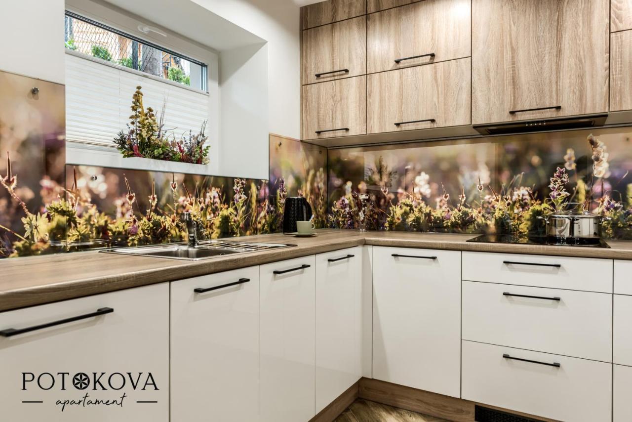Potokova Apartament Centrum Закопане Екстериор снимка